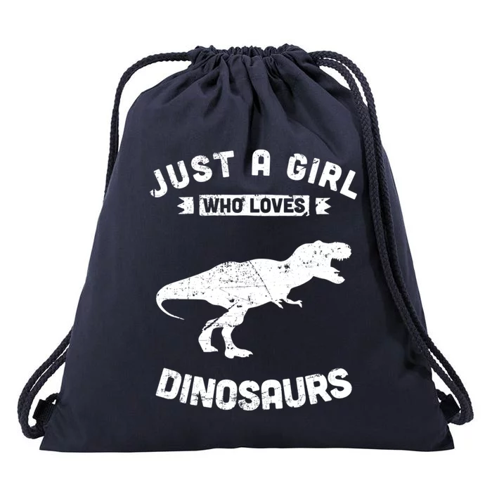 Just A Who Loves Dinosaurs Gift Drawstring Bag