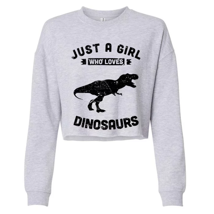 Just A Who Loves Dinosaurs Gift Cropped Pullover Crew