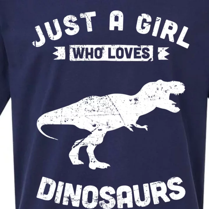 Just A Who Loves Dinosaurs Gift Sueded Cloud Jersey T-Shirt