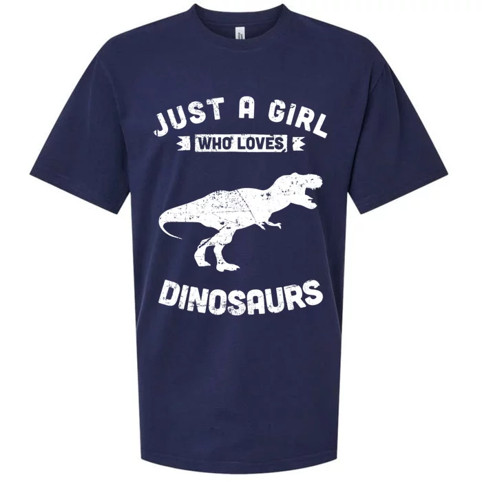 Just A Who Loves Dinosaurs Gift Sueded Cloud Jersey T-Shirt