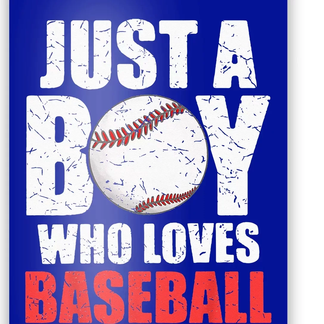 Just A Who Loves Baseball Batter Catcher Pitcher Poster