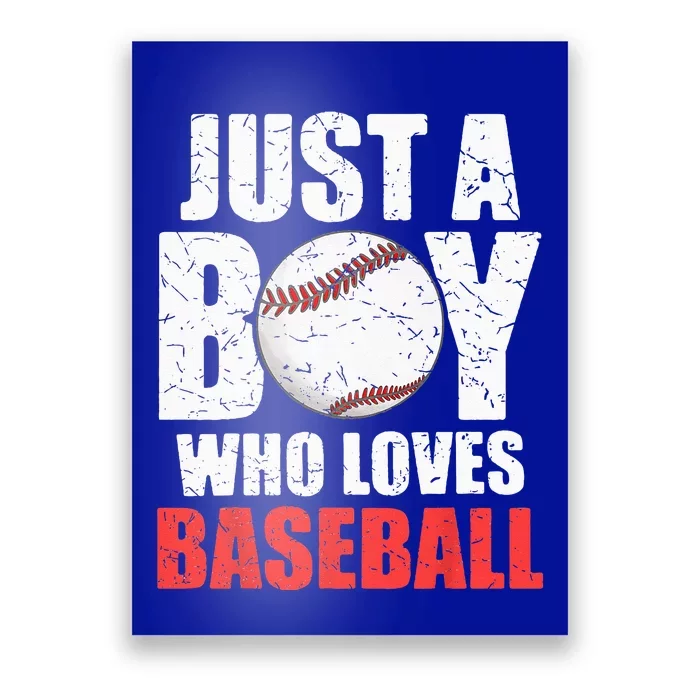 Just A Who Loves Baseball Batter Catcher Pitcher Poster