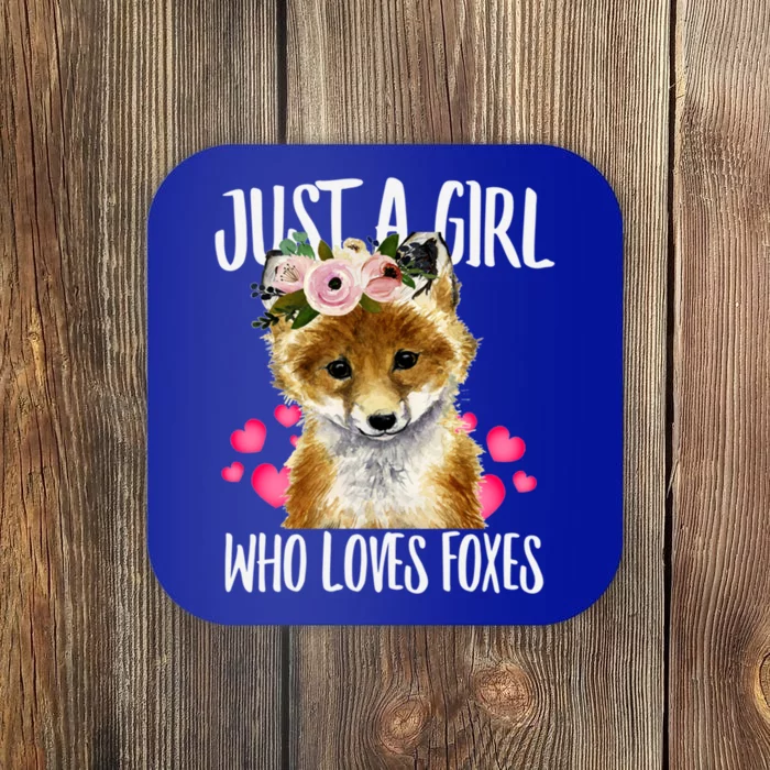 Just A Who Loves Foxes Lovegiftr Dad Mom Funny Funny Gift Coaster