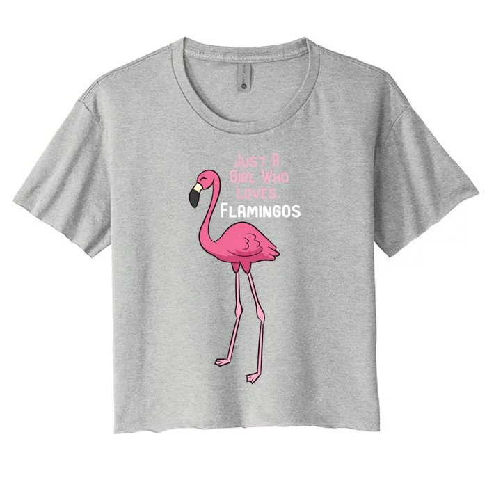 Just A Who Loves Flamingos Cute Flamingo Gift Women's Crop Top Tee