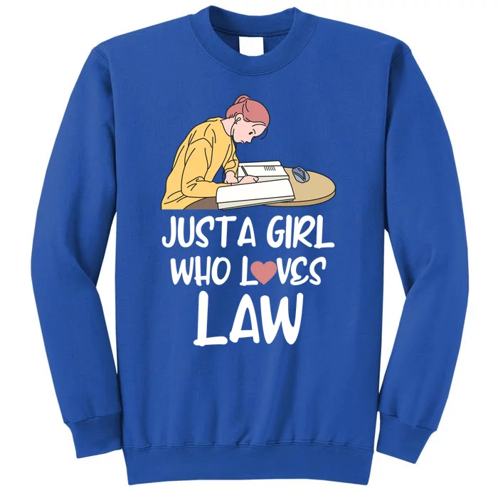 Just A Who Loves Law Great Gift Student Attorney Future Lawyers Gift Tall Sweatshirt