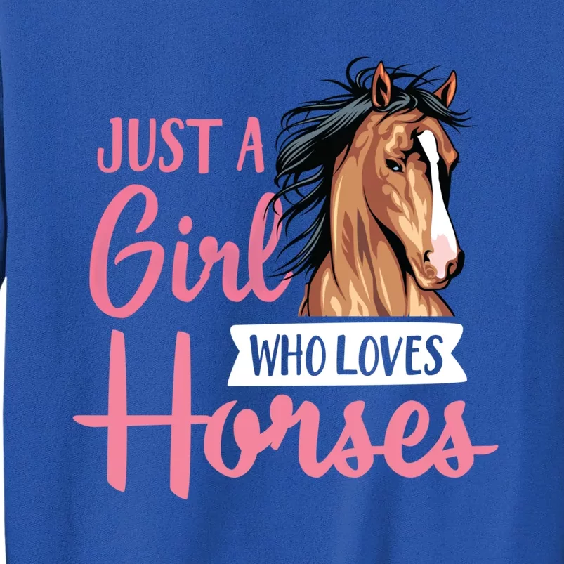 Just A Who Loves Horses Cute Horseback Riding Lesson Gift Sweatshirt