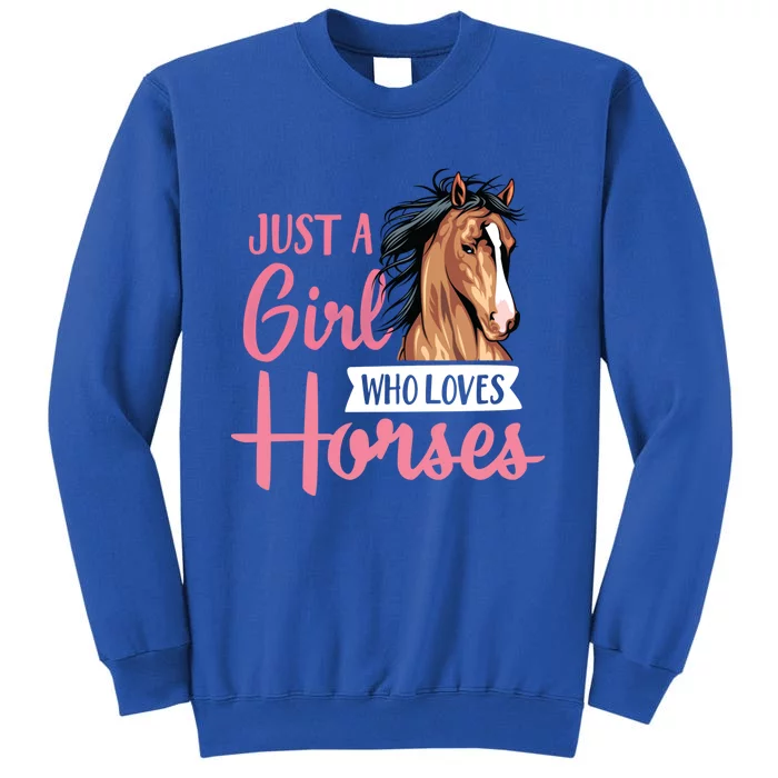 Just A Who Loves Horses Cute Horseback Riding Lesson Gift Sweatshirt