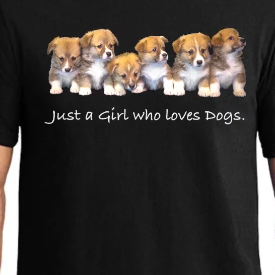 Just A Who Loves Dogs Funny For Dog Trainer Meaningful Gift Pajama Set