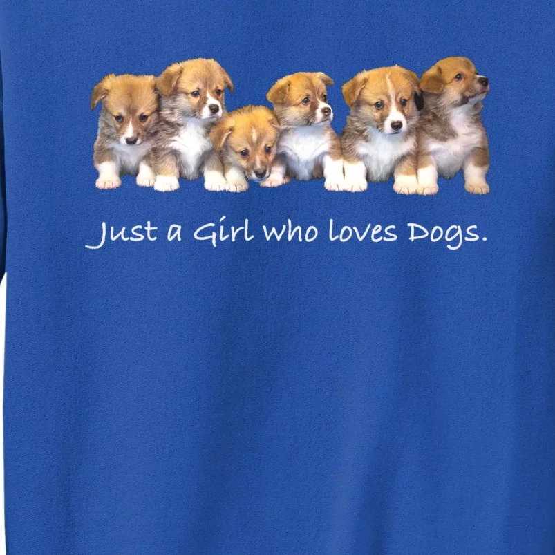 Just A Who Loves Dogs Funny For Dog Trainer Meaningful Gift Sweatshirt