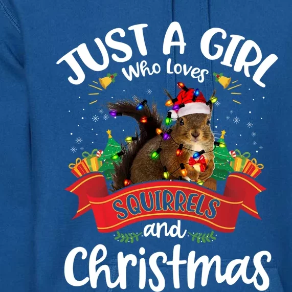 Just A Who Loves Squirrels And Christmas Santa Hat Light Meaningful Gift Premium Hoodie