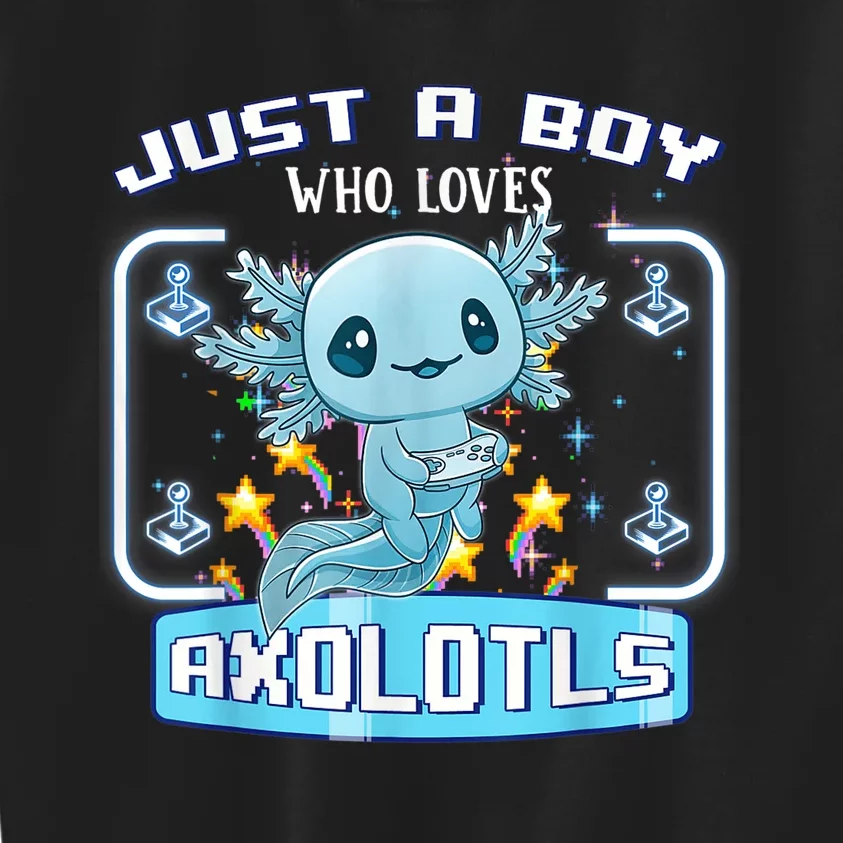 Just a  Who Loves Axolotls Funny Axolotl Gamer  Boys Kids Sweatshirt