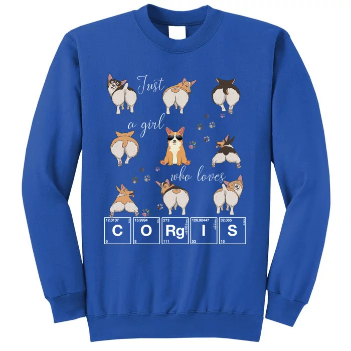 Just A Who Loves Corgis Welsh Corgi Dog Lover Science Gift Tall Sweatshirt