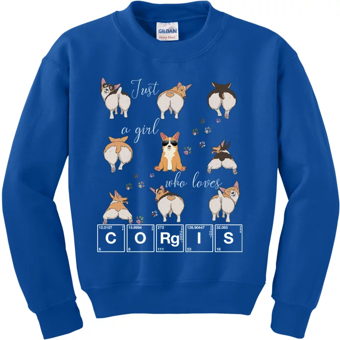 Just A Who Loves Corgis Welsh Corgi Dog Lover Science Gift Kids Sweatshirt