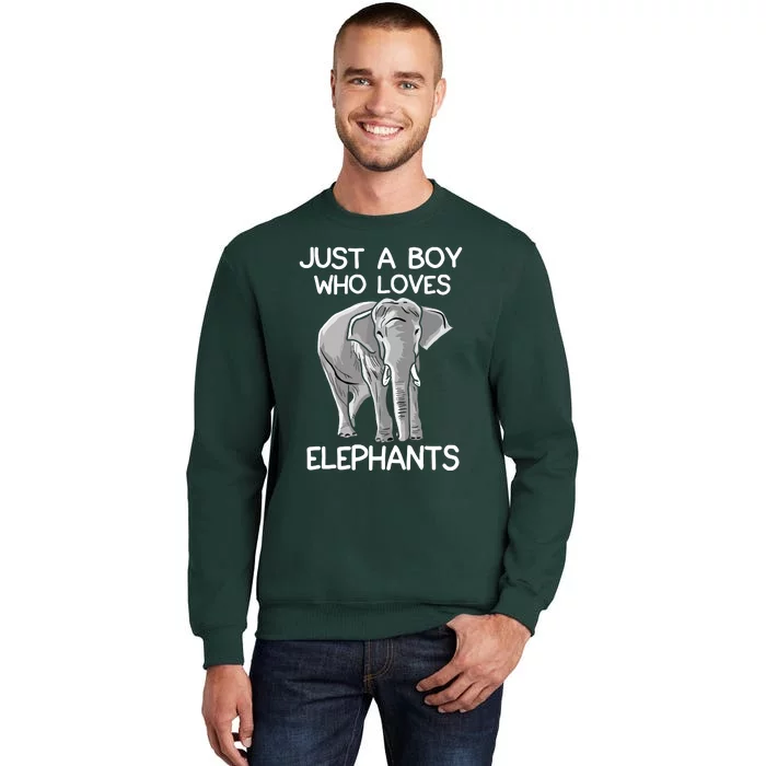 Just A Who Loves Elephants Funny Elephant Lover Tall Sweatshirt