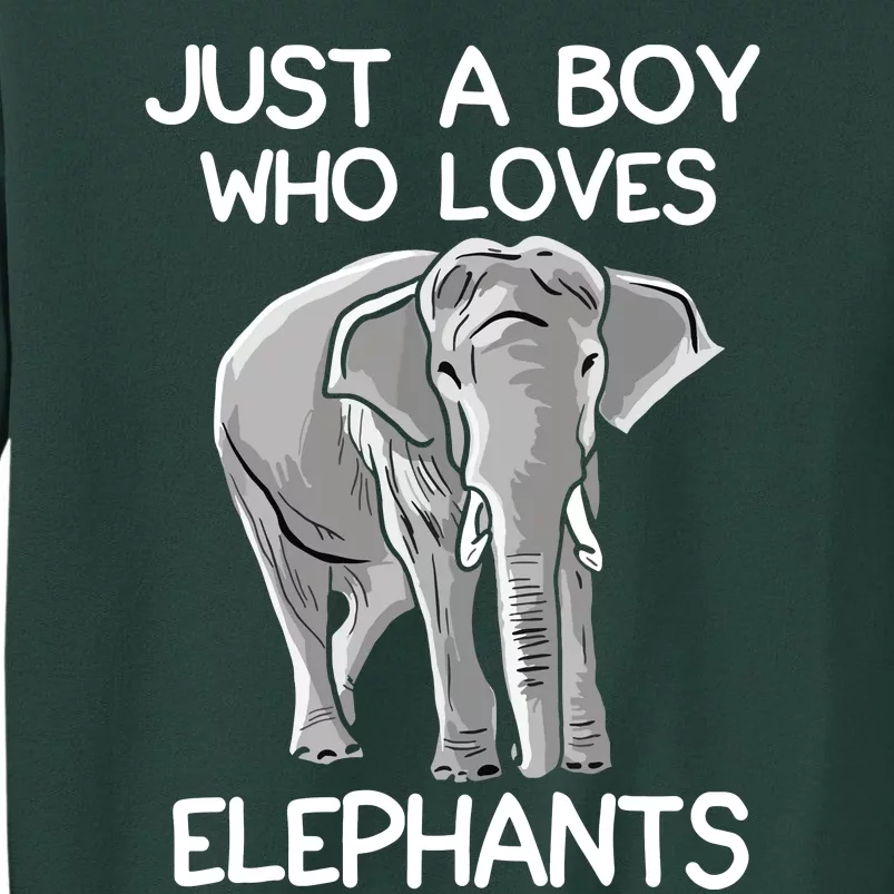 Just A Who Loves Elephants Funny Elephant Lover Tall Sweatshirt