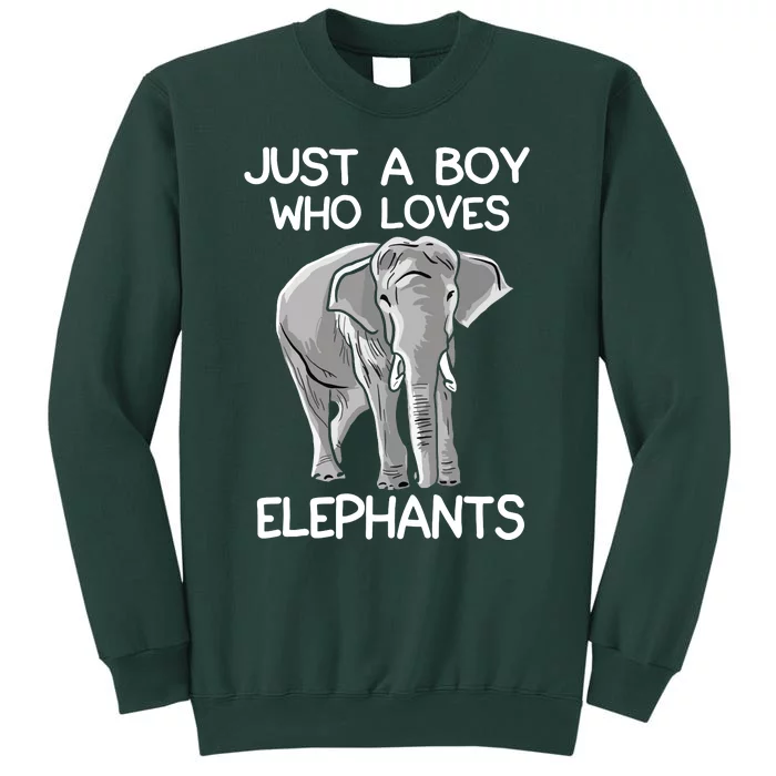 Just A Who Loves Elephants Funny Elephant Lover Tall Sweatshirt