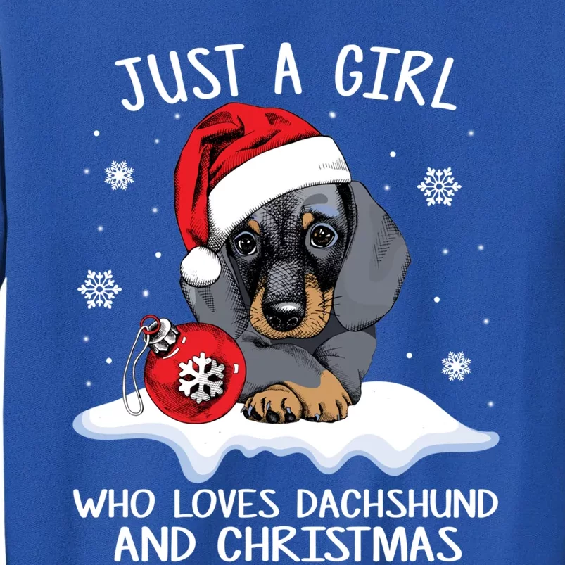 Just A Who Loves Dachshund And Christmas Dachshund Xmas Gift Tall Sweatshirt