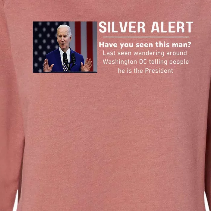 Joe Biden Money Silver Alert Political Presidential Election Womens California Wash Sweatshirt