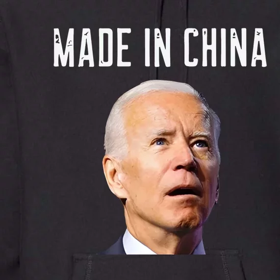 Joe Biden Made In China Joe Biden Is An Idiot Premium Hoodie