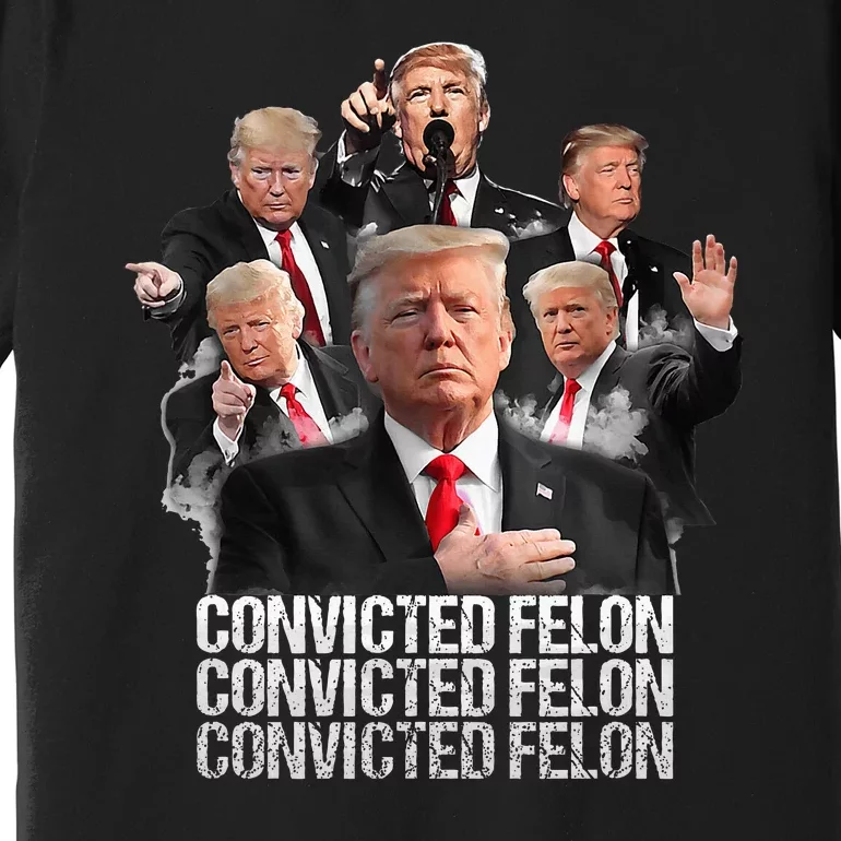 Joe Biden Vs Convicted Felon Funny Ballot Paper Voting Premium T-Shirt