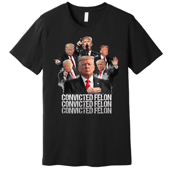 Joe Biden Vs Convicted Felon Funny Ballot Paper Voting Premium T-Shirt