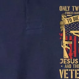 Jesus Christ And The American Veteran's Softstyle Adult Sport Polo