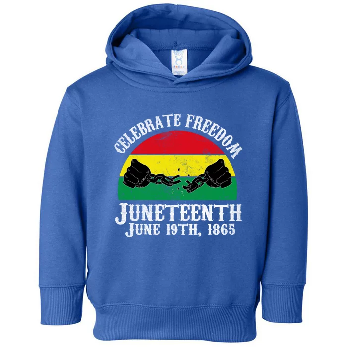 Junenth Celebrate Freedom June 19th 1865 Gift Toddler Hoodie