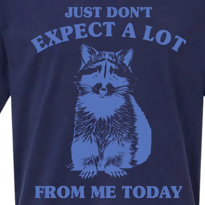 Just Dont Expect A Lot From Me Today Raccoon Funny Sueded Cloud Jersey T-Shirt