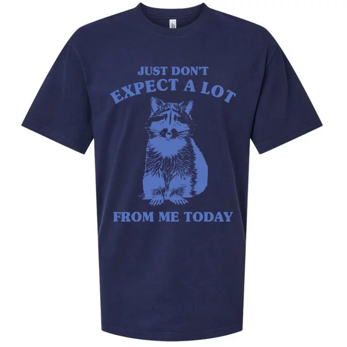 Just Dont Expect A Lot From Me Today Raccoon Funny Sueded Cloud Jersey T-Shirt