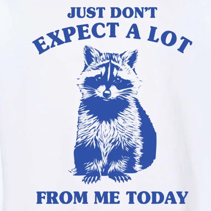 Just Dont Expect A Lot From Me Today Raccoon Funny Garment-Dyed Sweatshirt