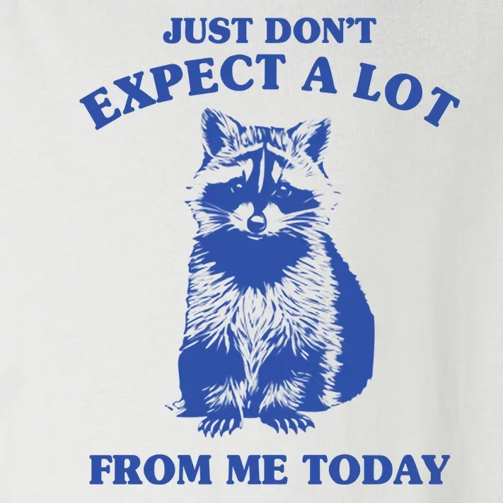 Just Dont Expect A Lot From Me Today Raccoon Funny Toddler Long Sleeve Shirt