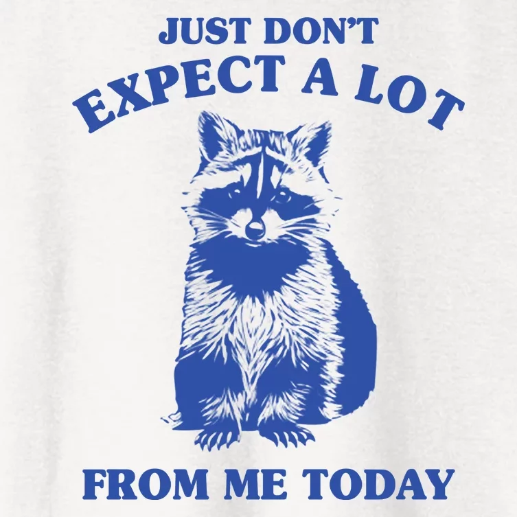 Just Dont Expect A Lot From Me Today Raccoon Funny Women's Crop Top Tee