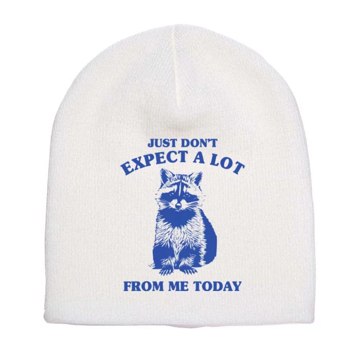 Just Dont Expect A Lot From Me Today Raccoon Funny Short Acrylic Beanie