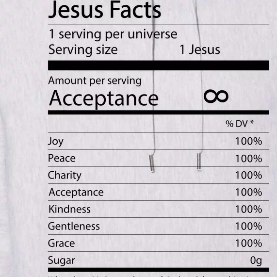 Jesus Facts Premium Hoodie