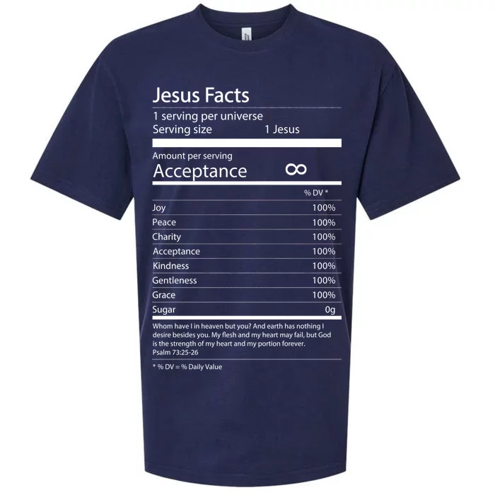 Jesus Facts Sueded Cloud Jersey T-Shirt