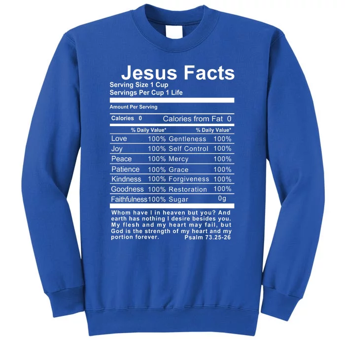 Jesus Facts Cool Christian Gift For Christians Tall Sweatshirt