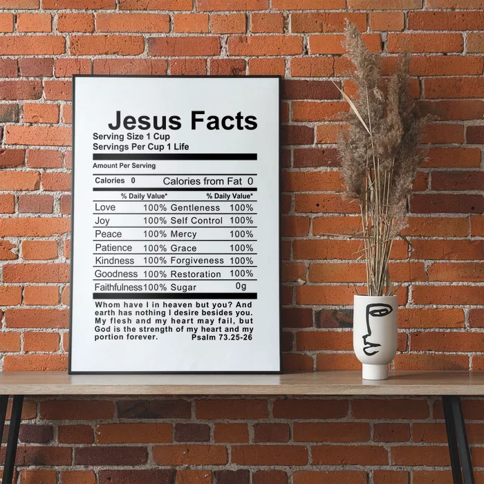 Jesus Facts Cool Christian Gift For Christians Poster