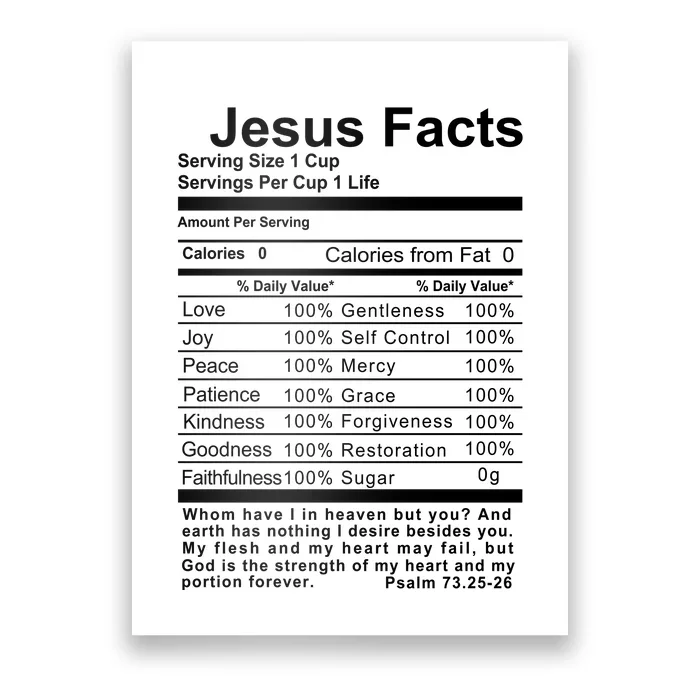 Jesus Facts Cool Christian Gift For Christians Poster