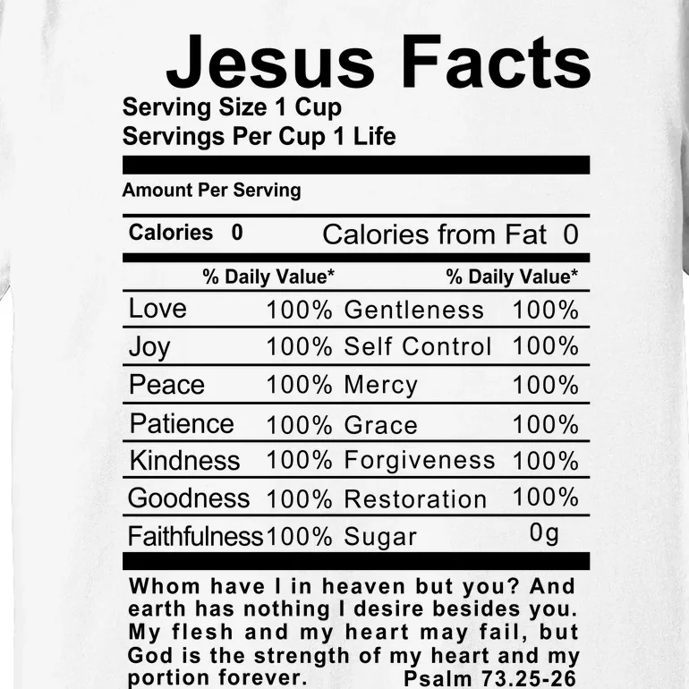 Jesus Facts Cool Christian Gift For Christians Premium T-Shirt