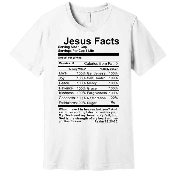 Jesus Facts Cool Christian Gift For Christians Premium T-Shirt