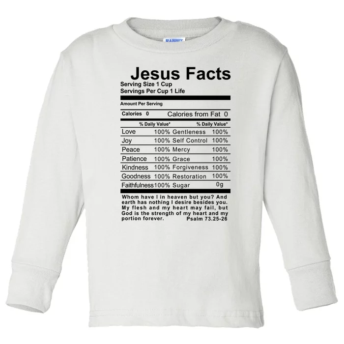 Jesus Facts Cool Christian Gift For Christians Toddler Long Sleeve Shirt