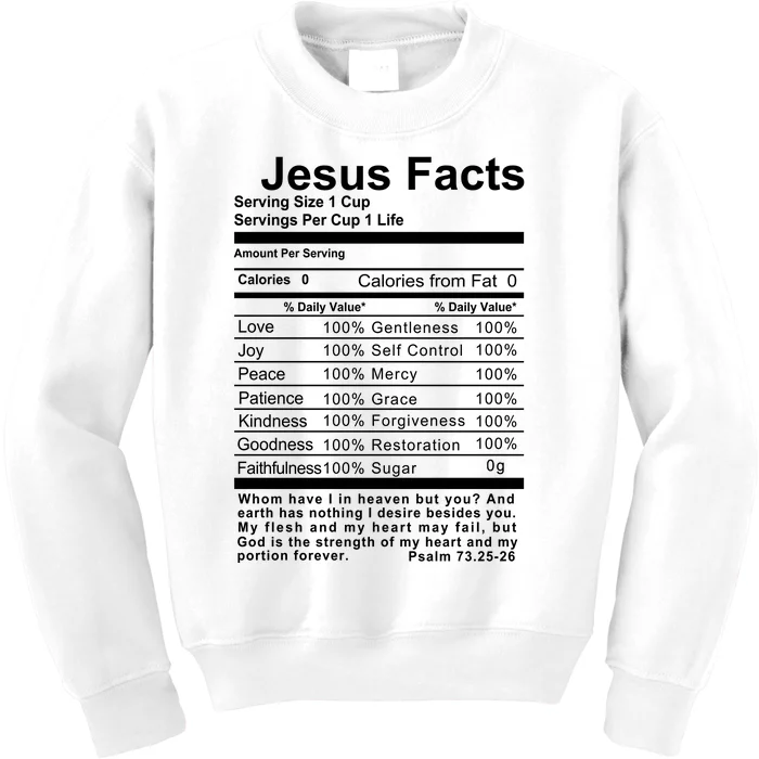 Jesus Facts Cool Christian Gift For Christians Kids Sweatshirt