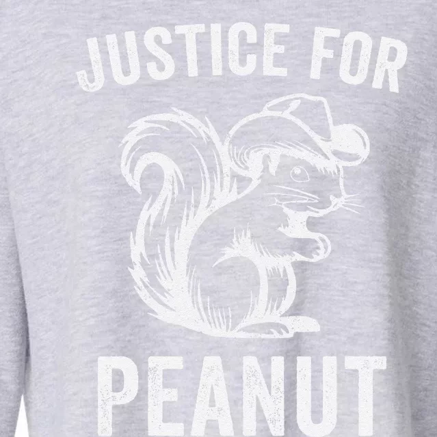 Justice For Peanut The Squirrel Peanut Squirrel Retro Cropped Pullover Crew