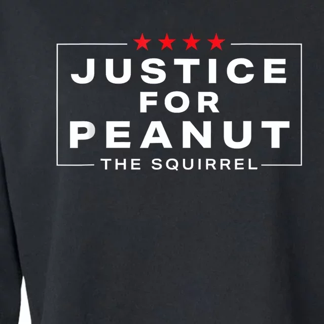 Justice For Peanut The Squirrel Peanut Squirrel Cropped Pullover Crew