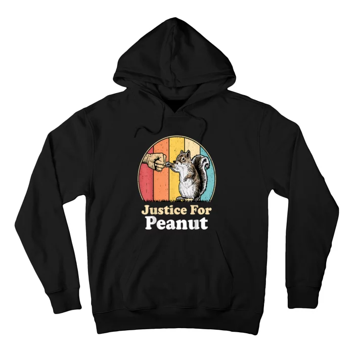 Justice For Peanut The Squirrel America Is The Land Of Cut Hoodie