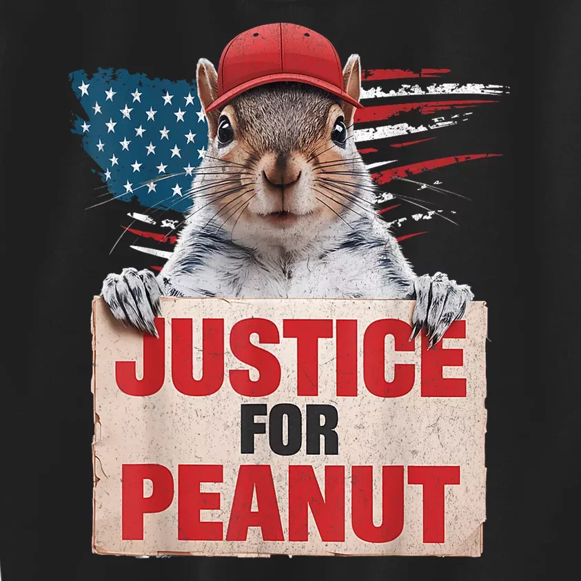 Justice For Peanut The Squirrel American Flag Peanut Squirrel Gift Kids Sweatshirt