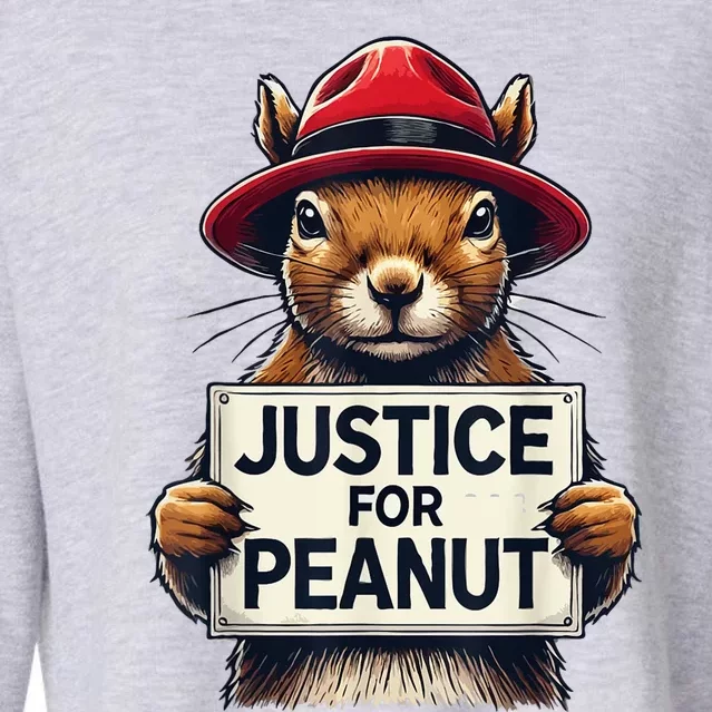 Justice For Peanut The Squirrel Wanted Cropped Pullover Crew