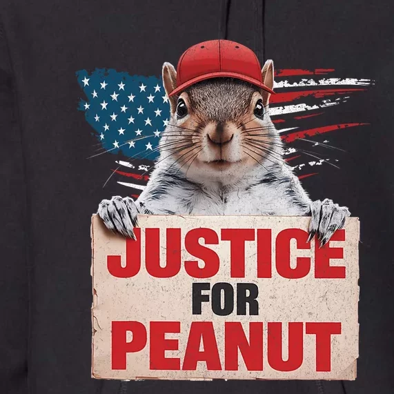 Justice For Peanut The Squirrel Peanut Squirrel Lovers America Flag Design Premium Hoodie