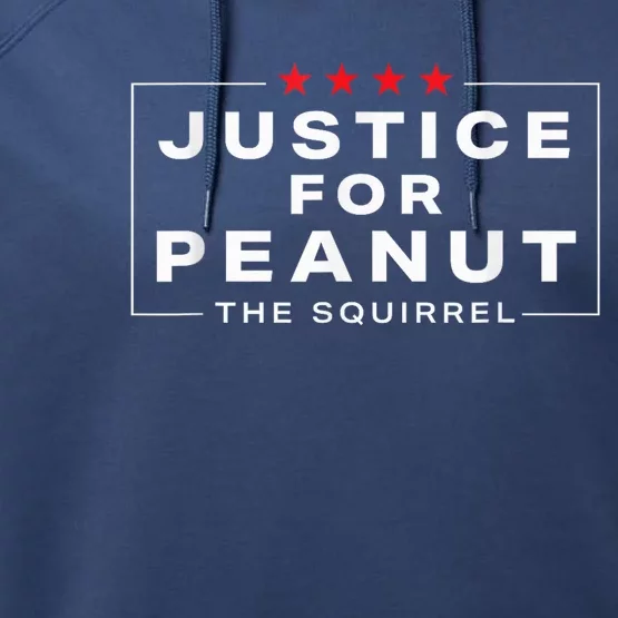 Justice For Peanut The Squirrel Funny Peanut Squirrel Performance Fleece Hoodie