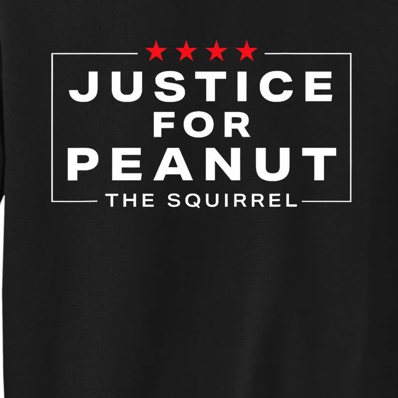 Justice For Peanut The Squirrel Peanut Squirrel Design Tall Sweatshirt